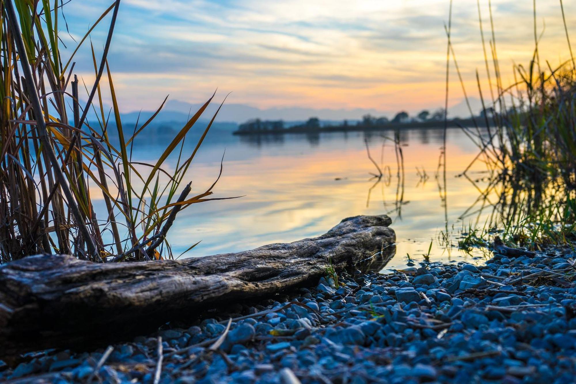 Am See 90 Seekirchen am Wallersee Εξωτερικό φωτογραφία